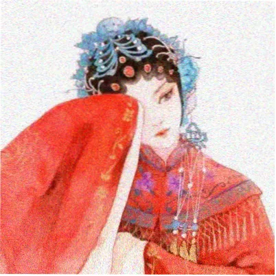 观众纸箱猫的头像